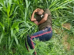 नारनौल में हाईवे किनारे खेत में मिला व्यक्ति का शव, पहचान नहीं हुई; पुलिस जांच में जुटी