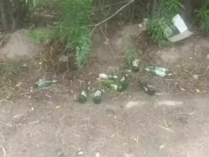 रोहतक MDU में नशे का जाल फैलने का दावा: गर्ल्स हॉस्टल के पीछे मिलीं बीयर की बोतलें, AMVA ने उठाए सवाल