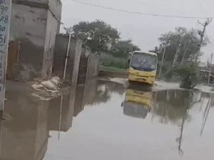 रोहतक के खेतों में फिर जलभराव, डीजल पंप बंद होने से बढ़ी किसानों की चिंता; फसलें बर्बादी की कगार पर
