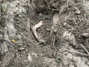 पति की हत्या कर शव खेत में दफनाया: फरीदाबाद में प्रेमी फरार; पत्नी ने दामाद को फोन कर कहा- पति लापता हैं, आ जाओ