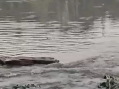झज्जर में 126.8 MM बारिश से जलभराव: सड़कें बनीं तालाब, घुटनों तक पानी; जलघर की दीवार टूटी