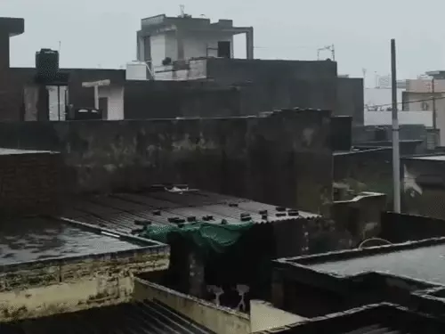 हरियाणा में 13 अगस्त तक बारिश का अलर्ट: यमुनानगर में सुबह से बूंदाबांदी, बिजली गिरने का खतरा; तापमान 2.8°C बढ़ा