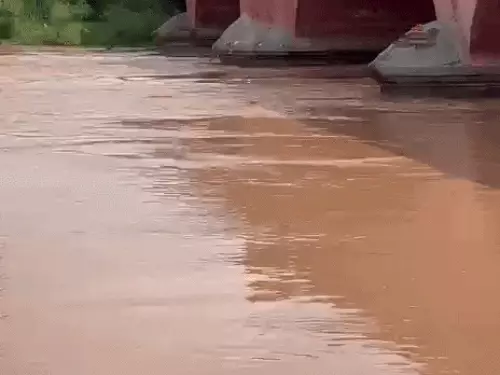कुरुक्षेत्र में मारकंडा नदी का जलस्तर बढ़ा: कठवा गांव में घुसा पानी, बाढ़ का खतरा बरकरार; सिंचाई विभाग अलर्ट
