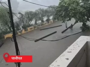 हरियाणा में मानसून फिर एक्टिव, 12 जिलों में झमाझम बारिश: पानीपत में पानी में तैरते दिखे बड़े पाइप, कुरुक्षेत्र में लेंटर गिरने से दंपती की मौत
