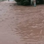 कुरुक्षेत्र में मारकंडा नदी फिर उफान पर: कठवा-तंगौर के खेतों में घुसा पानी, फसल खराब होने का खतरा; हिमाचल की बारिश से बढ़ेगा जलस्तर