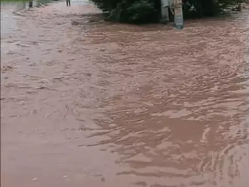 कुरुक्षेत्र में मारकंडा नदी फिर उफान पर: कठवा-तंगौर के खेतों में घुसा पानी, फसल खराब होने का खतरा; हिमाचल की बारिश से बढ़ेगा जलस्तर
