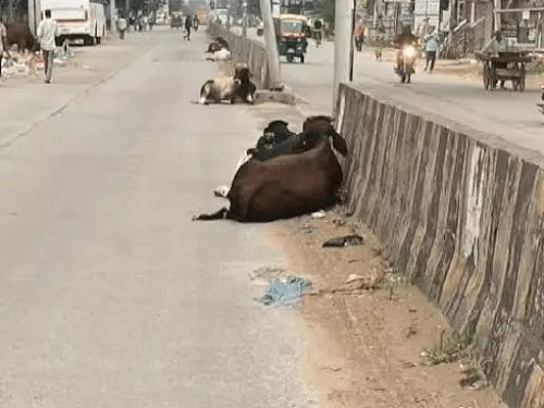 रेवाड़ी में खड़ी बाइक को कार ने मारी टक्कर: उछलकर कार के शीशे में अटका ढाई साल का बच्चा; मां-बेटा घायल