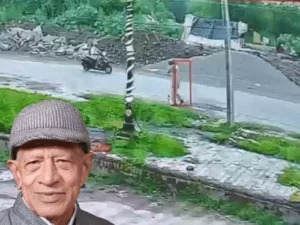 रेवाड़ी में गायों की टक्कर से रिटायर्ड कैप्टन की मौत, VIDEO: भिड़ती गायें स्कूटी पर चढ़ीं; पार्षद के भाई की भी गई जान