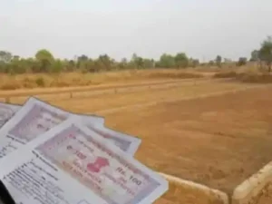 पानीपत में 70% दिव्यांग महिला के 70 गज प्लॉट पर कब्जे का आरोप: ₹10 लाख में फर्जी GPA से डील, निर्माण पर खुला मामला