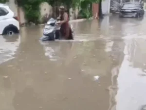 रोहतक में 118 MM बारिश से हाहाकार: घरों में घुसा पानी, दर्जनों बाइक बंद; घुटनों तक पानी में गुजरते दिखे लोग